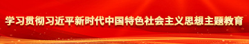 rb艹我啊啊啊用力学习贯彻习近平新时代中国特色社会主义思想主题教育